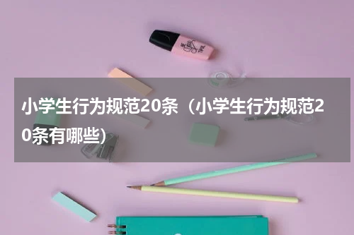 小学生行为规范20条（小学生行为规范20条有哪些）