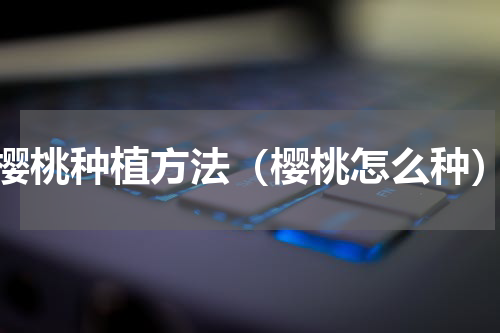 樱桃种植方法（樱桃怎么种）