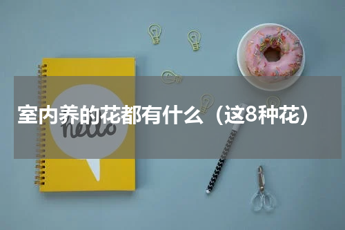 室内养的花都有什么（这8种花）