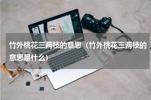 竹外桃花三两枝的意思（竹外桃花三两枝的意思是什么）