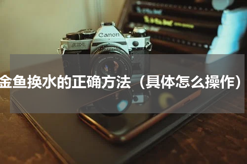 金鱼换水的正确方法（具体怎么操作）