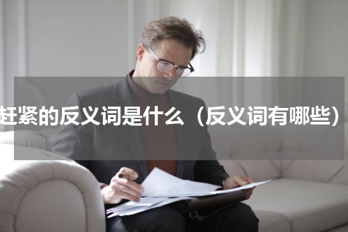 赶紧的反义词是什么（反义词有哪些）