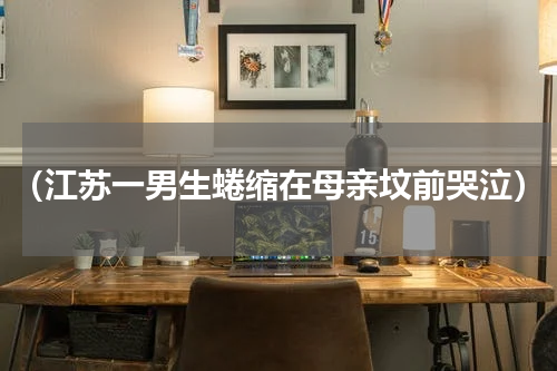 （江苏一男生蜷缩在母亲坟前哭泣）