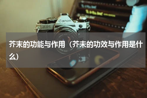 芥末的功能与作用（芥未的功效与作用是什么）