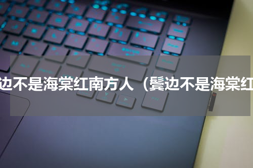 鬓边不是海棠红南方人（鬓边不是海棠红）