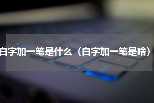 白字加一笔是什么（白字加一笔是啥）