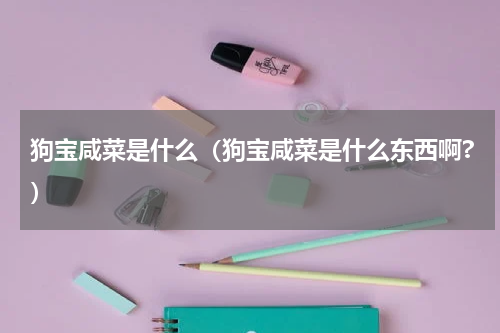 狗宝咸菜是什么（狗宝咸菜是什么东西啊?）