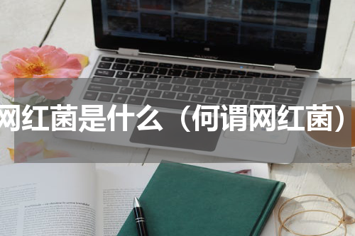 网红菌是什么（何谓网红菌）