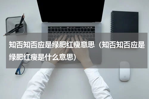 知否知否应是绿肥红瘦意思（知否知否应是绿肥红瘦是什么意思）