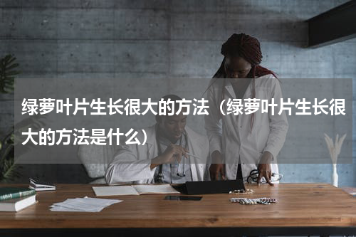 绿萝叶片生长很大的方法（绿萝叶片生长很大的方法是什么）