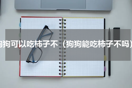 狗狗可以吃柿子不（狗狗能吃柿子不吗）