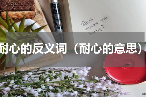 耐心的反义词（耐心的意思）