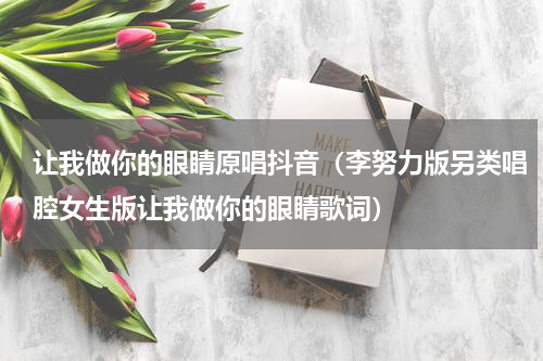 让我做你的眼睛原唱抖音（李努力版另类唱腔女生版让我做你的眼睛歌词）