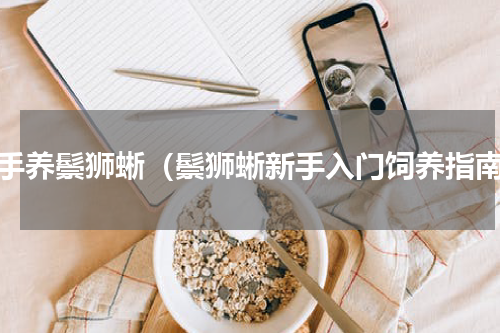 新手养鬃狮蜥（鬃狮蜥新手入门饲养指南）