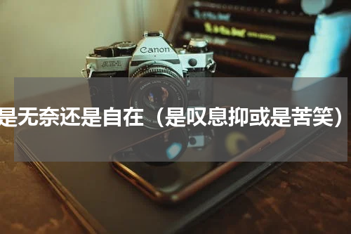 是无奈还是自在（是叹息抑或是苦笑）