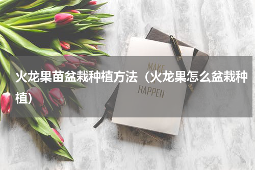 火龙果苗盆栽种植方法（火龙果怎么盆栽种植）