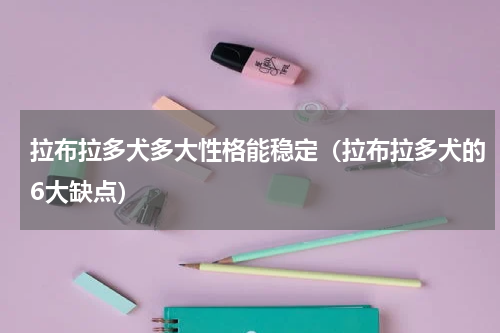 拉布拉多犬多大性格能稳定（拉布拉多犬的6大缺点）