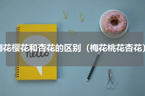梅花樱花和杏花的区别（梅花桃花杏花）