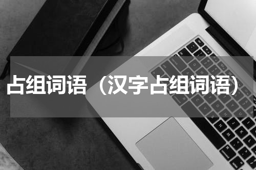 占组词语（汉字占组词语）