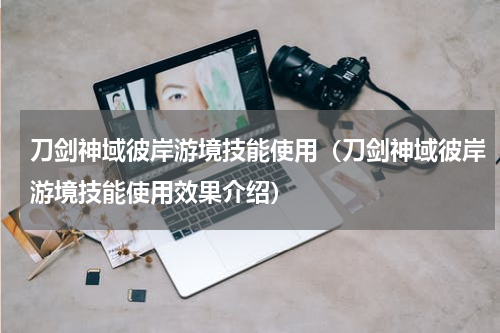 刀剑神域彼岸游境技能使用（刀剑神域彼岸游境技能使用效果介绍）
