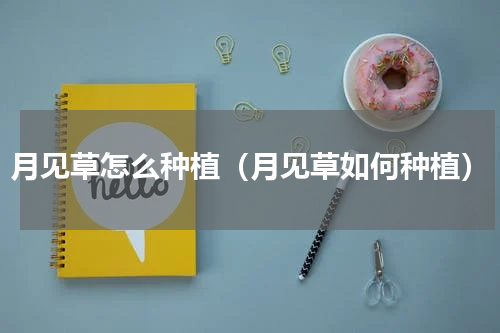 月见草怎么种植（月见草如何种植）