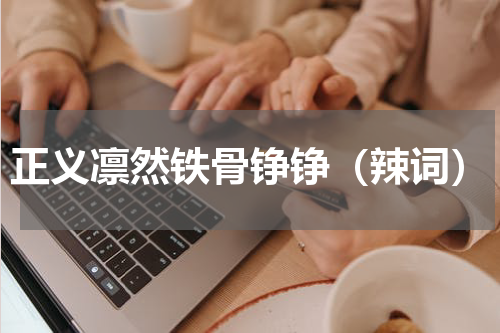 正义凛然铁骨铮铮（辣词）