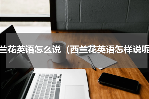 西兰花英语怎么说（西兰花英语怎样说呢）