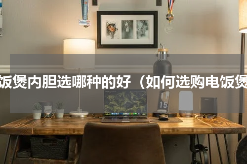 电饭煲内胆选哪种的好（如何选购电饭煲）