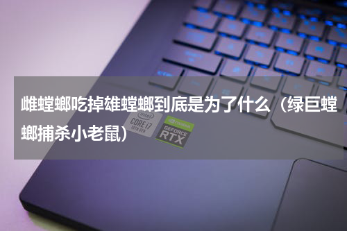 雌螳螂吃掉雄螳螂到底是为了什么（绿巨螳螂捕杀小老鼠）