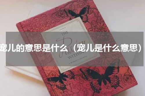 宠儿的意思是什么（宠儿是什么意思）