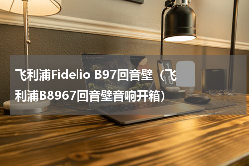 飞利浦Fidelio B97回音壁（飞利浦B8967回音壁音响开箱）