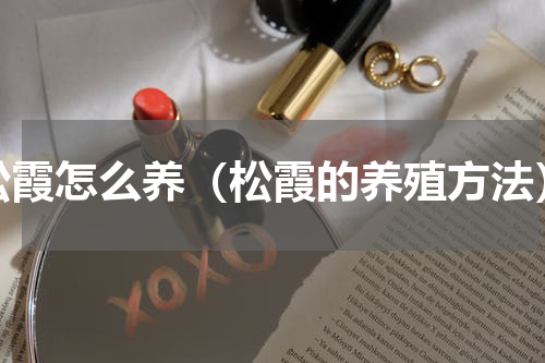 松霞怎么养（松霞的养殖方法）