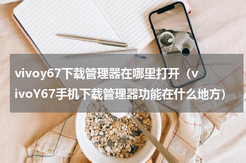 vivoy67下载管理器在哪里打开（vivoY67手机下载管理器功能在什么地方）