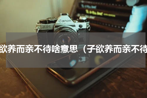 子欲养而亲不待啥意思（子欲养而亲不待）