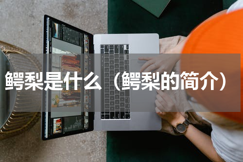 鳄梨是什么（鳄梨的简介）