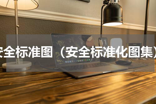 安全标准图（安全标准化图集）