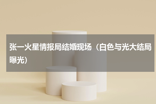 张一火星情报局结婚现场（白色与光大结局曝光）
