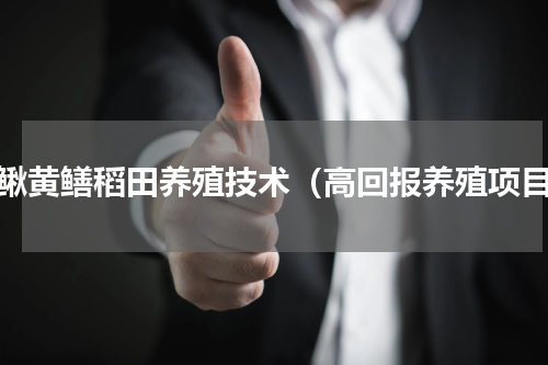 泥鳅黄鳝稻田养殖技术（高回报养殖项目）