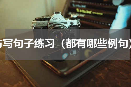 仿写句子练习（都有哪些例句）