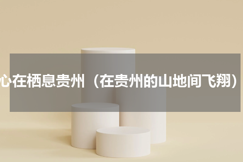 心在栖息贵州（在贵州的山地间飞翔）