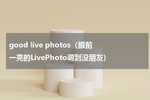 good live photos（眼前一亮的LivePhoto萌到没朋友）