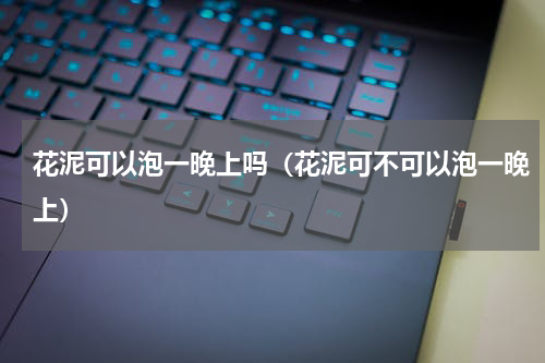 花泥可以泡一晚上吗（花泥可不可以泡一晚上）