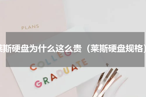 莱斯硬盘为什么这么贵（莱斯硬盘规格）