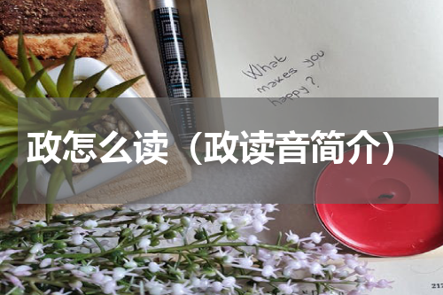 政怎么读（政读音简介）