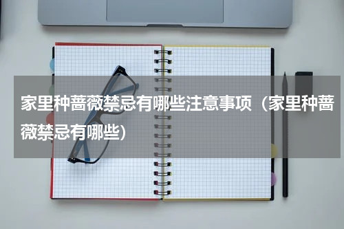 家里种蔷薇禁忌有哪些注意事项（家里种蔷薇禁忌有哪些）