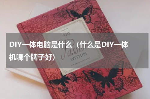 DIY一体电脑是什么（什么是DIY一体机哪个牌子好）