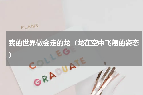 我的世界做会走的龙（龙在空中飞翔的姿态）