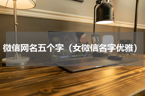 微信网名五个字（女微信名字优雅）