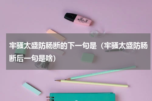 牢骚太盛防肠断的下一句是（牢骚太盛防肠断后一句是啥）