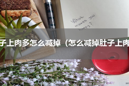 肚子上肉多怎么减掉（怎么减掉肚子上肉）